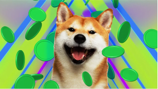 Shiba Inu